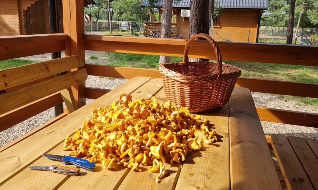 DOMEK CAŁOROCZNY, CHATKI-NA-KASZUBACH, Borsk